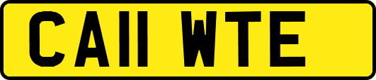 CA11WTE