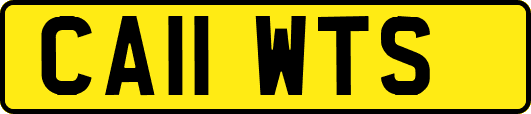 CA11WTS