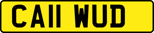 CA11WUD