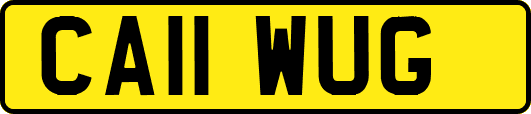 CA11WUG