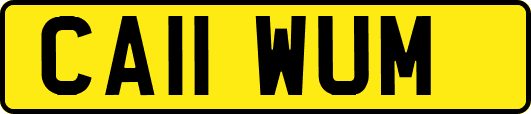 CA11WUM