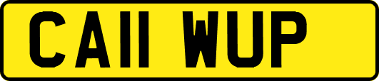 CA11WUP