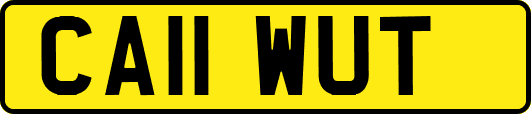 CA11WUT