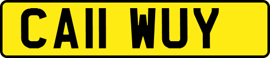CA11WUY