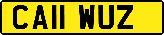 CA11WUZ