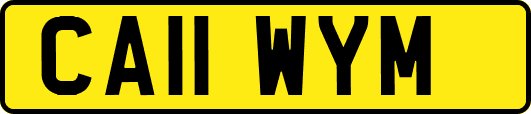 CA11WYM