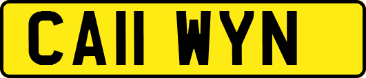 CA11WYN