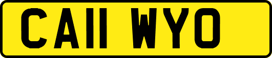 CA11WYO