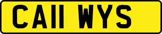 CA11WYS