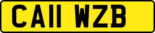 CA11WZB