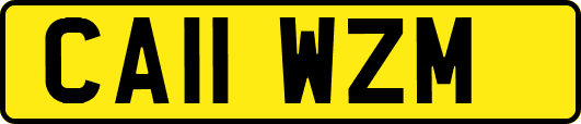 CA11WZM