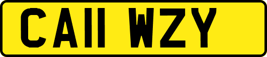 CA11WZY