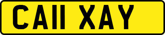 CA11XAY