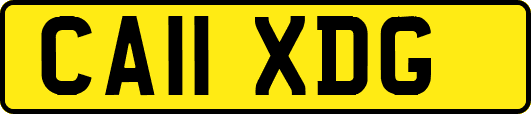 CA11XDG
