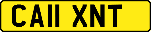 CA11XNT