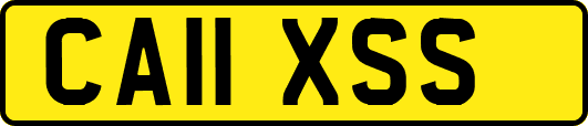 CA11XSS