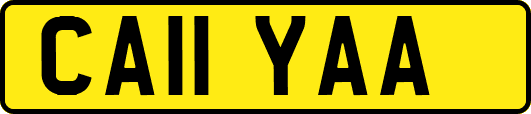 CA11YAA