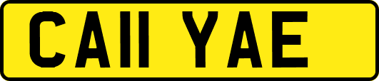 CA11YAE