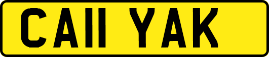 CA11YAK