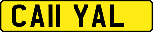 CA11YAL