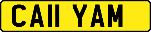 CA11YAM