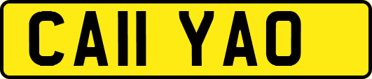 CA11YAO
