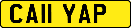 CA11YAP