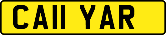 CA11YAR