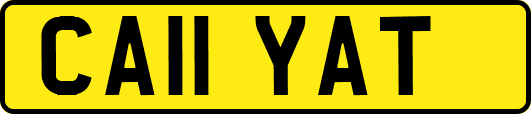 CA11YAT