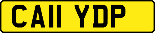 CA11YDP