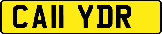 CA11YDR