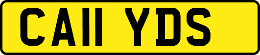 CA11YDS