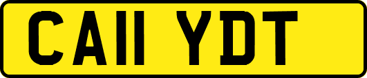 CA11YDT