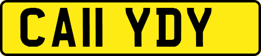 CA11YDY