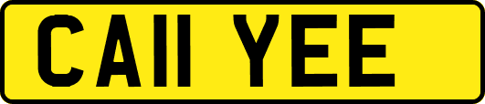 CA11YEE