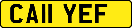 CA11YEF