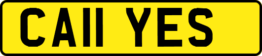 CA11YES