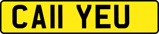 CA11YEU