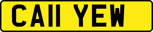 CA11YEW