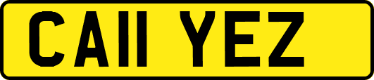 CA11YEZ