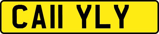 CA11YLY