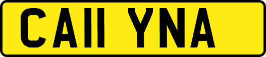 CA11YNA
