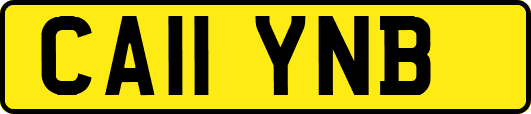 CA11YNB