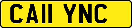 CA11YNC