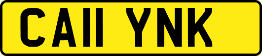 CA11YNK