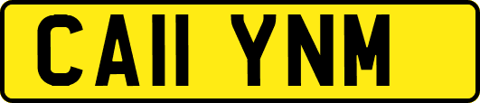 CA11YNM