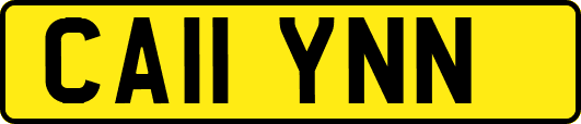 CA11YNN