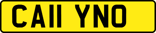 CA11YNO
