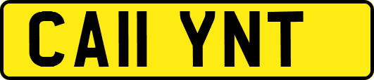 CA11YNT