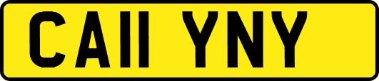 CA11YNY